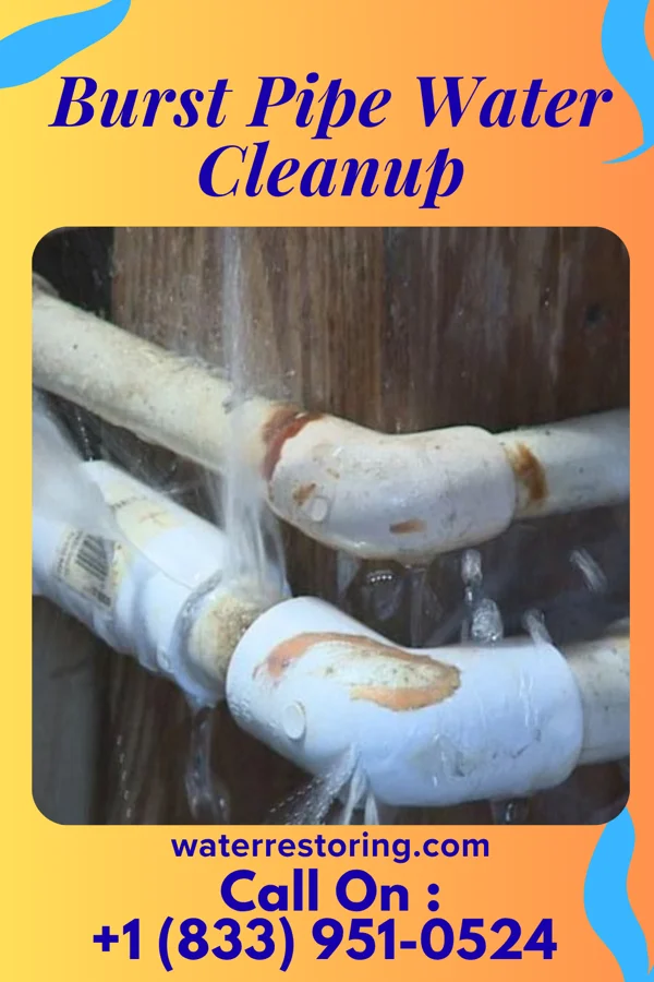 Burst Pipe Water Cleanup in Bolivar, PA