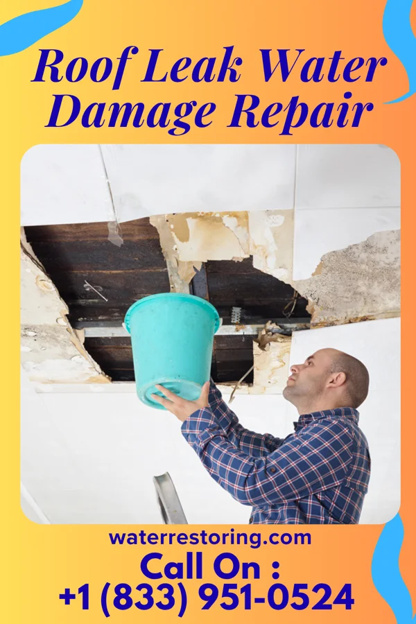 Roof Leak Water Damage Repair in Bolivar, PA