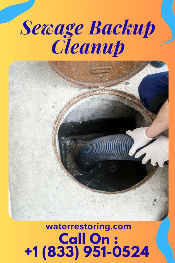 Sewage Backup Cleanup in Bolivar, PA